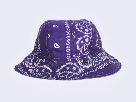 Bandana Bob Violet Bis Online now