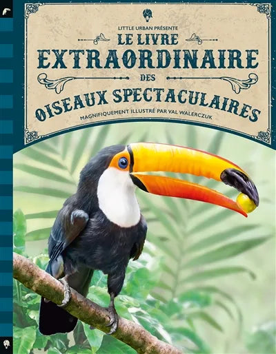 Le livre extraordinaire des oiseaux spectaculaires Fashion