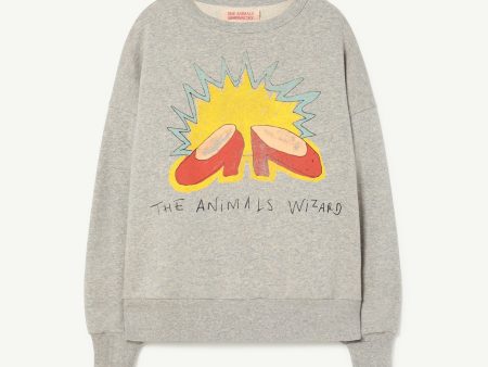 Wizard Grey Bear Oversize Sweatshirt on Sale