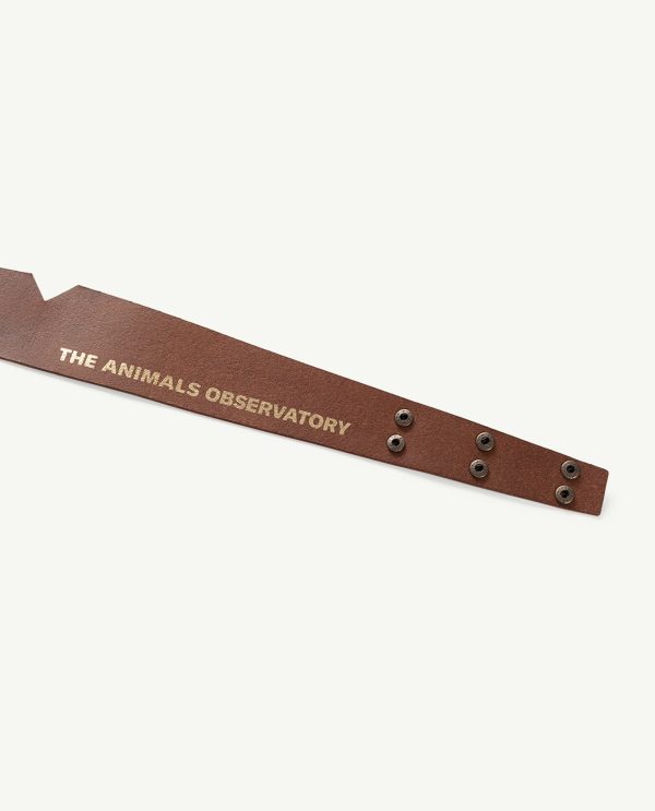 Shinny Belt Onesize Belt - Blue The Animals Observatory Discount