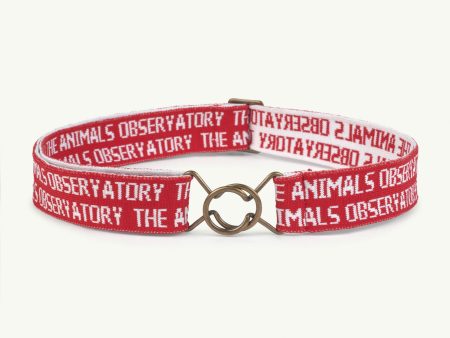 Lovebird Onesize Belt Red Online Hot Sale