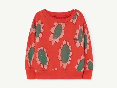 Bear Baby Sweatshirt Red Flowers Discount