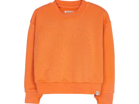 ALMA Soft Orange - Crew Neck Sweatshirt Online now