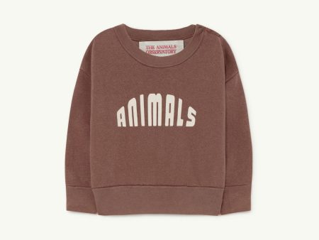 Bear Baby Sweatshirt Brown Animals For Cheap