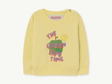 Bear Baby Sweatshirt Soft Yellow Apple For Sale